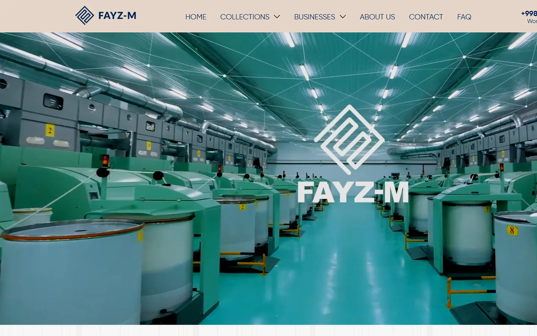 Fayzm — Corporate & Brand