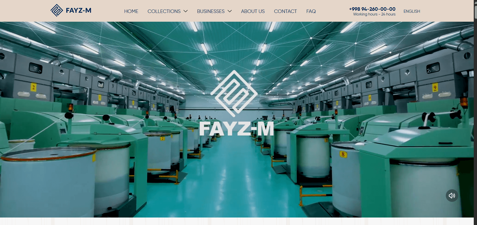 Fayzm, Corporate & Brand